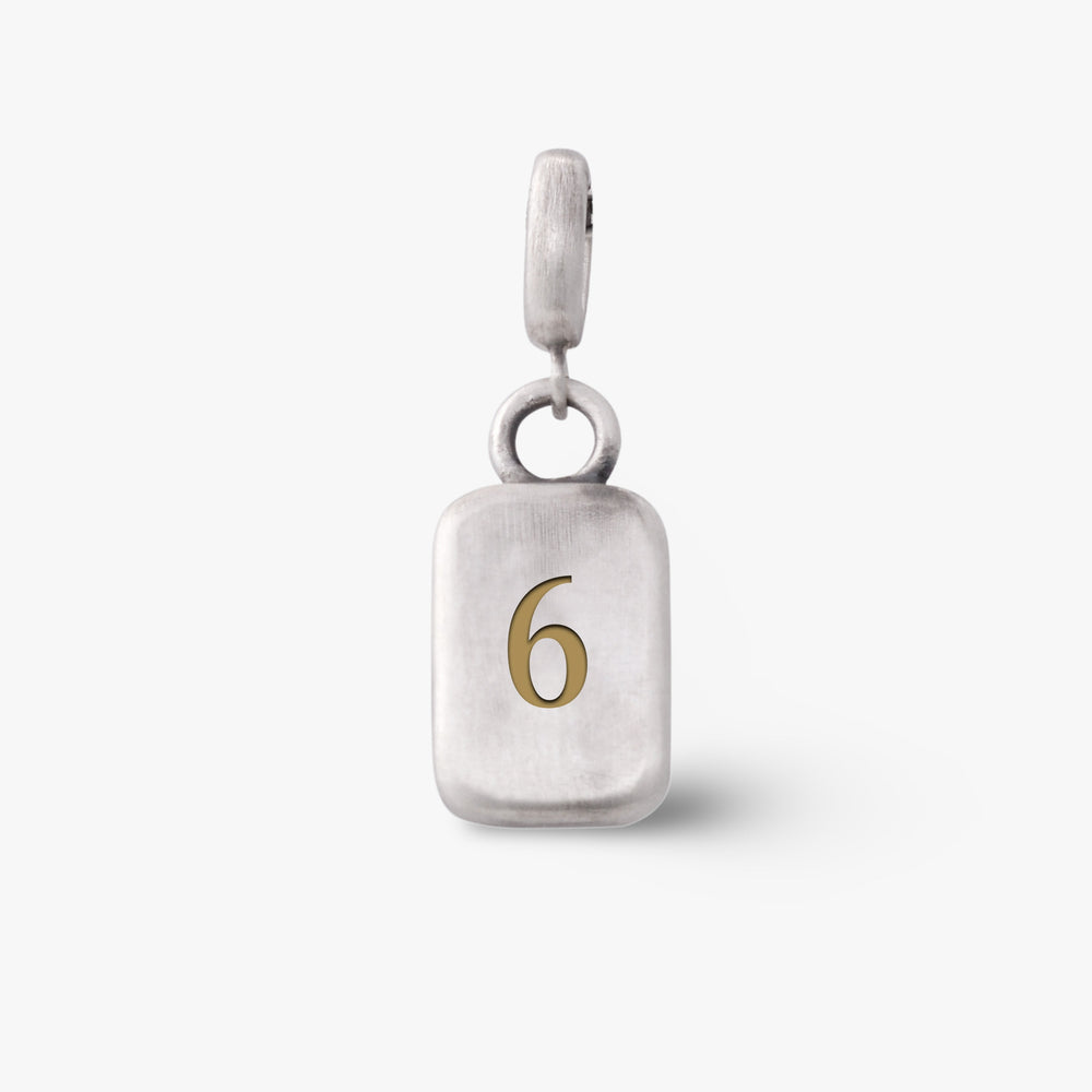 Number 6 Numerology Pendent- Golden Horn Jewllery