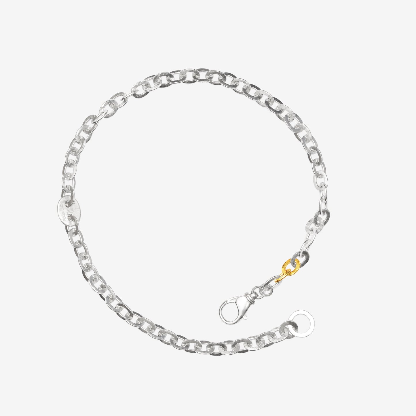 Sister Chain Necklace - Golden Horn